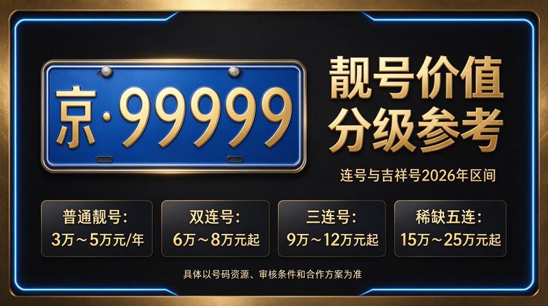 闲置北京指标京牌大的出租公司商务接待场景